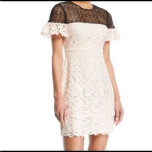 Club Monaco "Wollstan" eyelet lace dress NEW